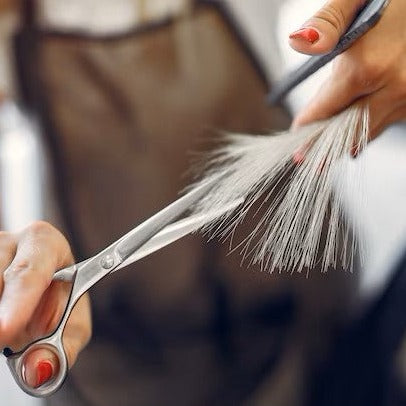 Women Haircut + Hair Wash + Blow-Dry